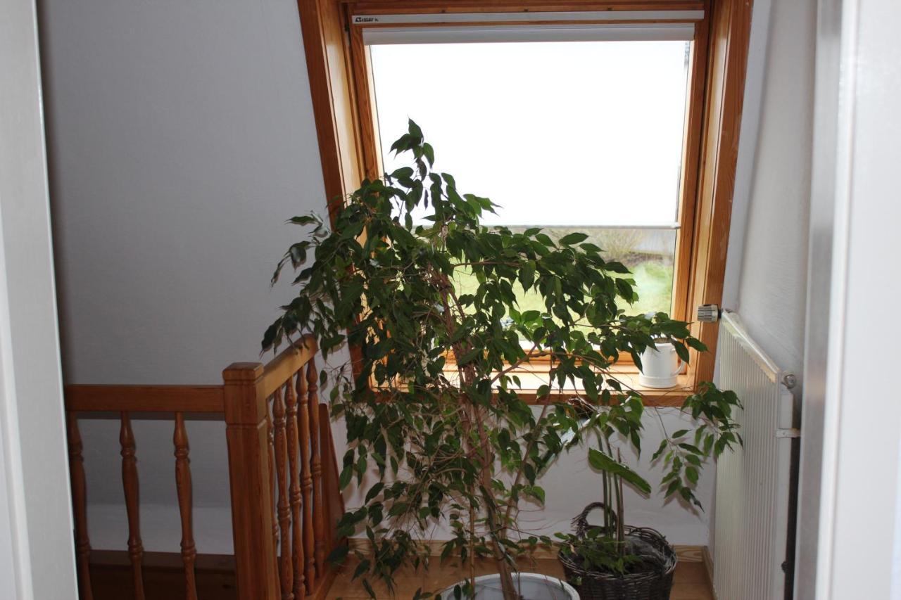 Ferienwohnung Nett بلانكينهييم المظهر الخارجي الصورة